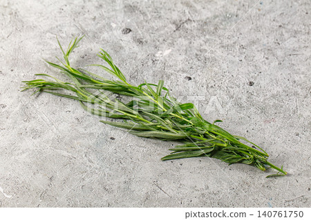 Fresh green tarragon herb on textured gray concrete background Fresh green tarragon herb on textured gray concrete background 140761750