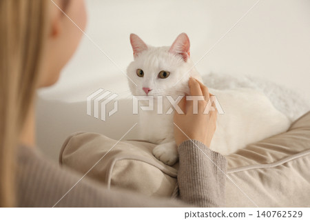 Young woman petting her beautiful white cat at home, closeup. Fluffy pet 140762529
