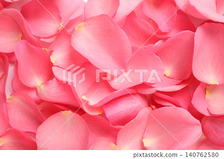 Fresh pink rose petals as background, closeup Fresh pink rose petals as background, closeup 140762580