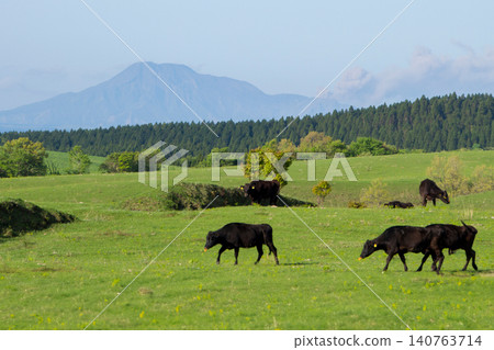 The volcanic smoke of Mount Aso and Bungo beef from the Kuju Plateau 140763714