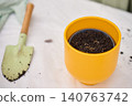 Herb seeds lie on dark soil inside yellow plant pot beside hand trowel on gardening table 140763742