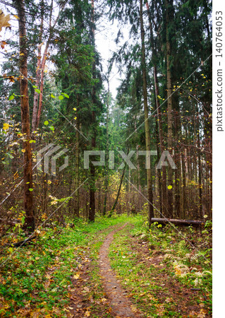 A narrow, winding dirt path meanders through a dense, vibrant forest. Autumnal leaves pepper the ground, with tall evergreens and some deciduous trees creating a tranquil, natural scene A narrow, winding dirt path meanders through a dense, vibrant forest. Autumnal leaves pepper the ground, with tall evergreens and some deciduous trees creating a tranquil, natural scene 140764053