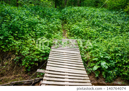 Rustic wooden bridge crosses a small stream, leading into a dense, vibrant green forest. Summer nature path invites adventure Rustic wooden bridge crosses a small stream, leading into a dense, vibrant green forest. Summer nature path invites adventure 140764074