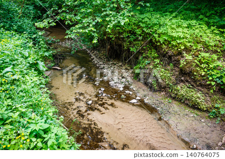 A babbling forest brook snakes through vibrant green summer growth. Crystal clear water reveals pebbles and sandy ripples, a serene wild nature shot A babbling forest brook snakes through vibrant green summer growth. Crystal clear water reveals pebbles and sandy ripples, a serene wild nature shot 140764075