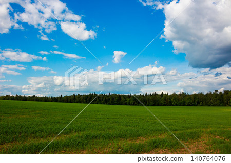 Lush green field under a dynamic blue sky with fluffy white clouds, hinting at a peaceful summer day in the countryside 140764076