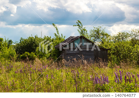 Weathered wooden shack peeks from a vibrant summer field, nestled among tall grass and purple wildflowers under a dramatic sky Weathered wooden shack peeks from a vibrant summer field, nestled among tall grass and purple wildflowers under a dramatic sky 140764077