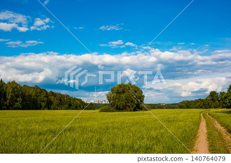 Expansive green meadow under a bright blue sky with fluffy clouds. A solitary tree stands grandly, while a winding dirt path beckons. Distant urban skyline peeks through the trees Expansive green meadow under a bright blue sky with fluffy clouds. A solitary tree stands grandly, while a winding dirt path beckons. Distant urban skyline peeks through the trees 140764079