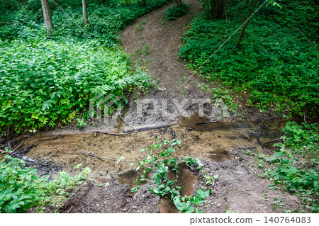 A shallow muddy stream meanders through a dense green forest, with dirt paths converging on its banks. A serene and wild nature scene perfect for summer hikes A shallow muddy stream meanders through a dense green forest, with dirt paths converging on its banks. A serene and wild nature scene perfect for summer hikes 140764083