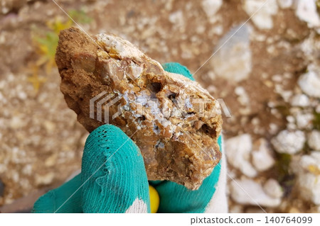 Gloved hand holding a rough, earthy chalcedony specimen embedded in flint, revealing its natural texture 140764099