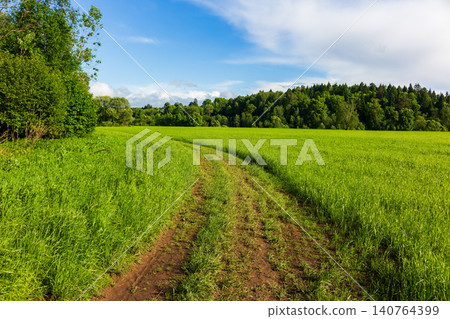 Dirt path winding through a vibrant green summer meadow towards a dense forest under a bright blue sky, sunny rural landscape with lush wild grass and peaceful countryside vibes Dirt path winding through a vibrant green summer meadow towards a dense forest under a bright blue sky, sunny rural landscape with lush wild grass and peaceful countryside vibes 140764399