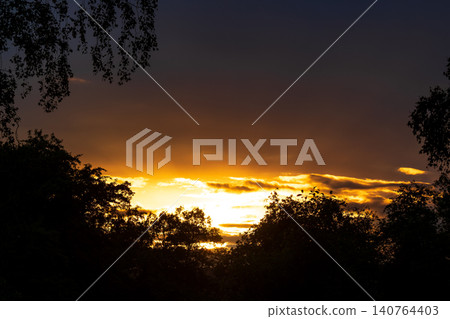 Glowing golden sun rays break through dark dramatic clouds at sunset, framed by silhouetted tree branches creating a serene and mysterious atmosphere in the evening sky Glowing golden sun rays break through dark dramatic clouds at sunset, framed by silhouetted tree branches creating a serene and mysterious atmosphere in the evening sky 140764403