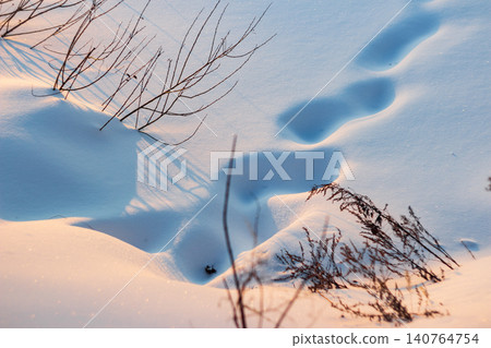 Deep animal tracks cutting through pristine white snow drifts at golden hour, framed by bare dry shrubs and soft sunset light casting long shadows across the frozen winter landscape Deep animal tracks cutting through pristine white snow drifts at golden hour, framed by bare dry shrubs and soft sunset light casting long shadows across the frozen winter landscape 140764754