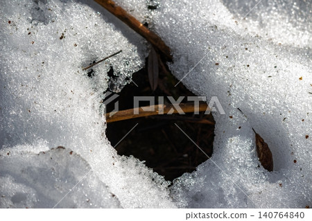 Glistening, thawing snow creating a rugged icy edge, revealing dark earth and dormant twigs. Early spring's subtle natural beauty Glistening, thawing snow creating a rugged icy edge, revealing dark earth and dormant twigs. Early spring's subtle natural beauty 140764840
