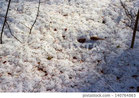 Spring thaw reveals a rustic texture of pine needles and small twigs scattered across glistening melting snow, capturing nature's quiet transition Spring thaw reveals a rustic texture of pine needles and small twigs scattered across glistening melting snow, capturing nature's quiet transition 140764863