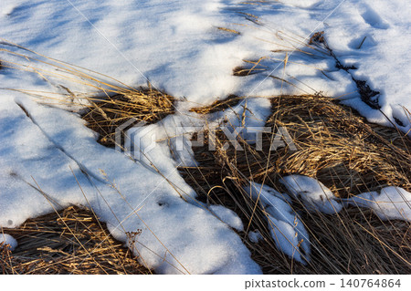 Melting white snow recedes, exposing golden dry grass. A vibrant close-up of nature's awakening, hinting at renewal Melting white snow recedes, exposing golden dry grass. A vibrant close-up of nature's awakening, hinting at renewal 140764864