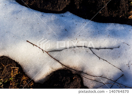 Melting snow patch on dark earth, thin branches lie across the surface, hint of early spring awakening 140764870