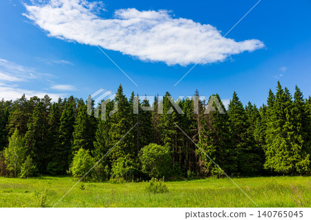 Lush green coniferous forest edge bordering a sunlit meadow under a bright blue sky with a single fluffy white cloud on a beautiful warm summer day in the countryside Lush green coniferous forest edge bordering a sunlit meadow under a bright blue sky with a single fluffy white cloud on a beautiful warm summer day in the countryside 140765045