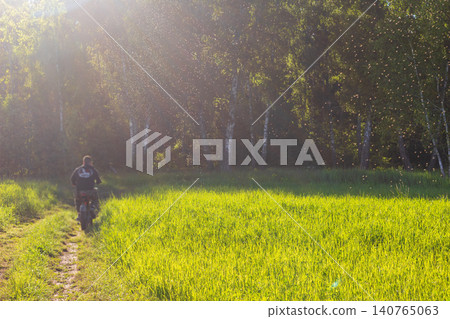 Cyclist rides a bike along a countryside trail during sunset as a swarm of mosquitoes dances in the warm golden hour light against a lush green forest backdrop Cyclist rides a bike along a countryside trail during sunset as a swarm of mosquitoes dances in the warm golden hour light against a lush green forest backdrop 140765063