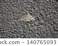 Akinamishaku 140765093