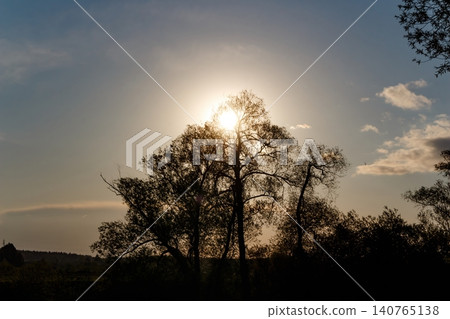 Sunburst hides behind a bold tree silhouette, creating a stunning dramatic nature sky backdrop at twilight Sunburst hides behind a bold tree silhouette, creating a stunning dramatic nature sky backdrop at twilight 140765138