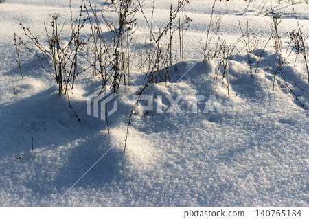 Sparkling fresh snow drifts with dark, skeletal winter plants creating stark shadows under golden sunlight, evoking crisp, cold serenity Sparkling fresh snow drifts with dark, skeletal winter plants creating stark shadows under golden sunlight, evoking crisp, cold serenity 140765184
