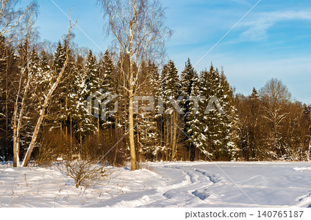 Bright sunny winter scene featuring snow-covered field with fresh tracks leading towards a dense forest of evergreen and birch trees under a clear blue sky Bright sunny winter scene featuring snow-covered field with fresh tracks leading towards a dense forest of evergreen and birch trees under a clear blue sky 140765187