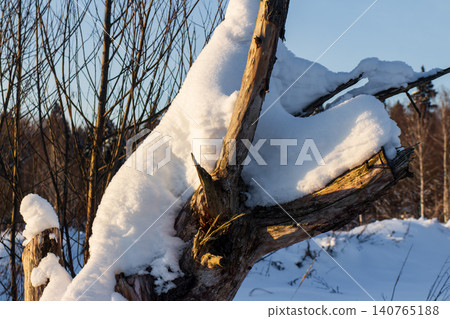 Pristine snow artfully blankets a rugged tree stump, bathed in the soft glow of a low winter sun. A serene, frosty landscape under a clear blue sky Pristine snow artfully blankets a rugged tree stump, bathed in the soft glow of a low winter sun. A serene, frosty landscape under a clear blue sky 140765188