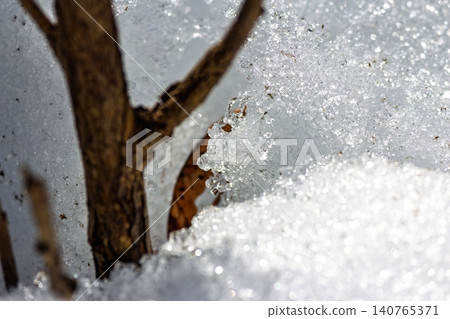 Glistening meltwater on sparkling snow and ice near a branch, catching bright spring sun. Early March thaw reveals nature's transition Glistening meltwater on sparkling snow and ice near a branch, catching bright spring sun. Early March thaw reveals nature's transition 140765371