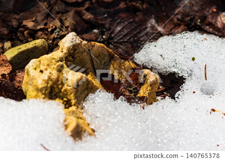 Sunlight illuminates a textured rock emerging from melting snow, surrounded by fallen leaves and the remnants of winter 140765378