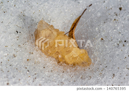 Golden quartz druse crystals sparkle in pristine snow, catching radiant sunlight. A touch of natural winter beauty 140765395