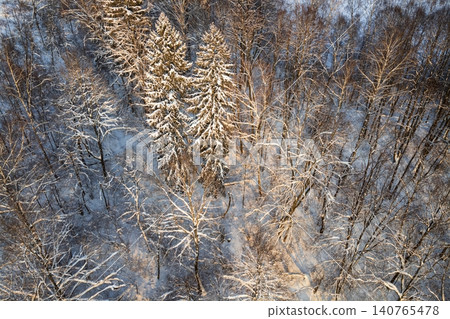 Stunning aerial view of a winter forest wonderland. Snow-laden evergreen spruces stand tall amidst frosty bare trees, bathed in golden sunlight, creating a tranquil scene Stunning aerial view of a winter forest wonderland. Snow-laden evergreen spruces stand tall amidst frosty bare trees, bathed in golden sunlight, creating a tranquil scene 140765478