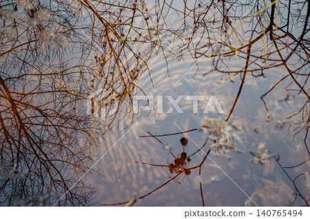 Dark, oily liquid forms a slick on the water's surface, reflecting bare branches under a pale sky. An unnatural sheen spoils the natural beauty of this cold season stream Dark, oily liquid forms a slick on the water's surface, reflecting bare branches under a pale sky. An unnatural sheen spoils the natural beauty of this cold season stream 140765494