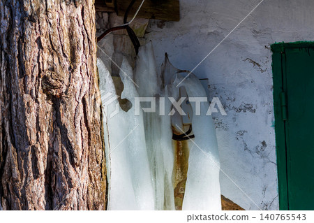 Melting ice formation clinging to a rustic wall beside a textured pine tree trunk, capturing the transition from freezing winter to the arrival of early spring sunlight Melting ice formation clinging to a rustic wall beside a textured pine tree trunk, capturing the transition from freezing winter to the arrival of early spring sunlight 140765543