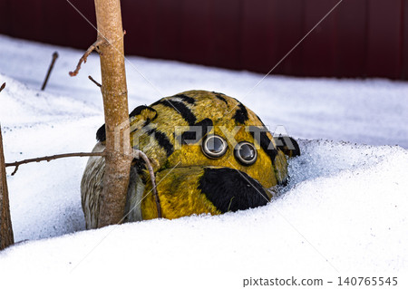 Funny plush tiger toy half buried in melting winter snow next to a young tree trunk, quirky big eyes peering out, captured in a whimsical outdoor garden setting Funny plush tiger toy half buried in melting winter snow next to a young tree trunk, quirky big eyes peering out, captured in a whimsical outdoor garden setting 140765545