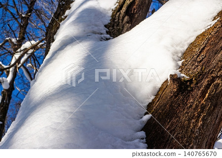 Thick snow blankets an old tree trunk against a bright blue winter sky, showcasing stark contrast and texture Thick snow blankets an old tree trunk against a bright blue winter sky, showcasing stark contrast and texture 140765670