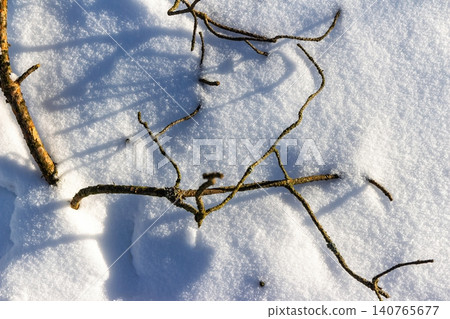 Twisted winter branches lie atop pristine, glistening snow, bathed in bright sunshine. Captivating patterns of nature and light Twisted winter branches lie atop pristine, glistening snow, bathed in bright sunshine. Captivating patterns of nature and light 140765677