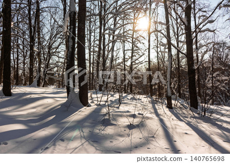 Crisp winter sun beams through snow-dusted bare trees, casting dramatic long shadows across a pristine white forest floor. A serene, chilly woodland scene 140765698