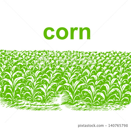 corn field . beautiful summer vector illustration. corn field . beautiful summer vector illustration. 140765798