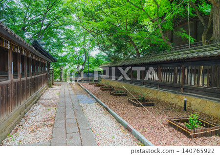 [Takemizuwake Shrine] The approach to the Twelve Shrines and the fresh greenery [Chikuma City] 140765922