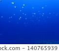 Okinawa's Sea, Ie Island 140765939
