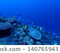 Okinawa's Sea, Ie Island 140765943