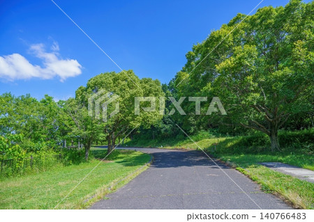 A park walking path surrounded by blue skies and fresh greenery, perfect for walking and cycling. A park walking path surrounded by blue skies and fresh greenery, perfect for walking and cycling. 140766483