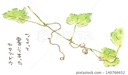 A watercolor illustration of wild grapes, where the way the vines are twined coincidentally resembles the Japanese word for "vine" (tsuru). A watercolor illustration of wild grapes, where the way the vines are twined coincidentally resembles the Japanese word for "vine" (tsuru). 140766652