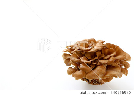 在白色背景的Maiko 在白色背景的Maiko 140766930