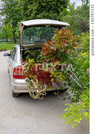 Garden center maintenance Garden center maintenance 140767135