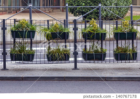 Plants on metal fence on street Plants on metal fence on street 140767178