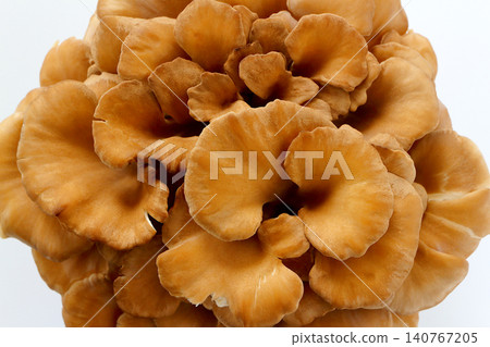 Maitake mushrooms viewed from directly above against a white background. Maitake mushrooms viewed from directly above against a white background. 140767205