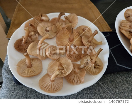 Wild mushrooms (Armillaria mellea) that have been prepared and washed for cooking. 140767572