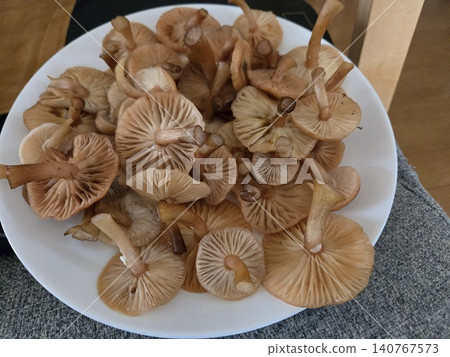 Preparation of wild mushrooms, Armillaria mellea, and a close-up of the gills. Preparation of wild mushrooms, Armillaria mellea, and a close-up of the gills. 140767573