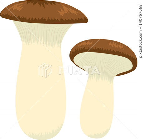 king oyster mushroom king oyster mushroom 140767668